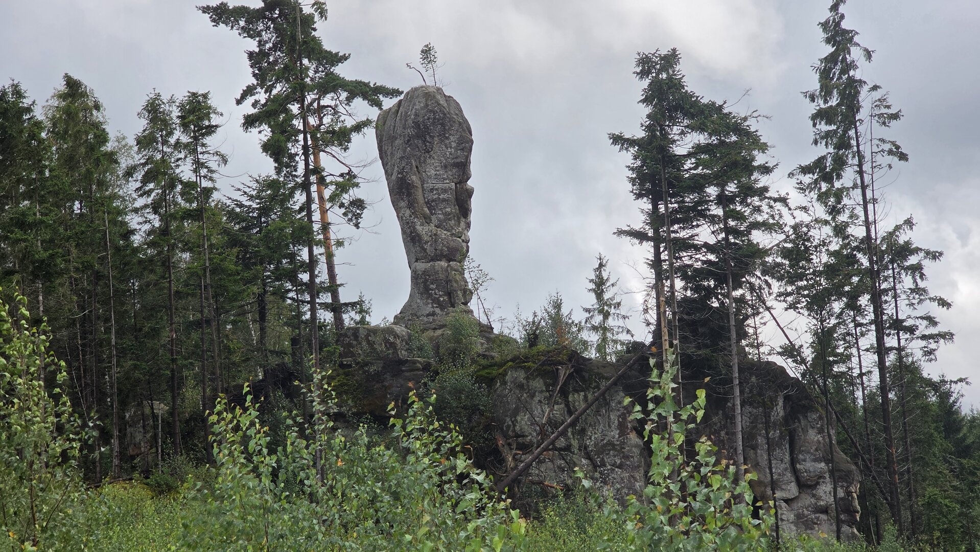 Skalne Grzyby twory skalne