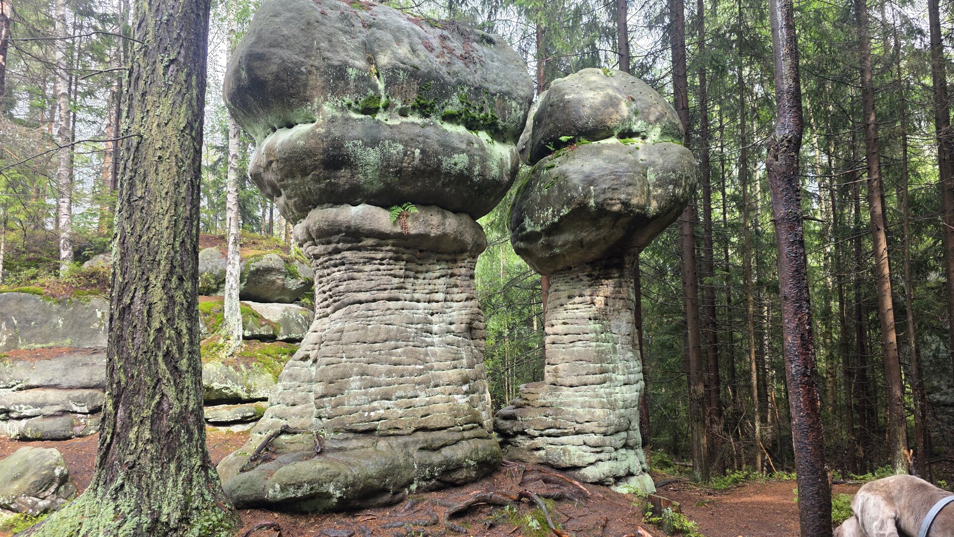 Skalne Grzyby twory skalne 3